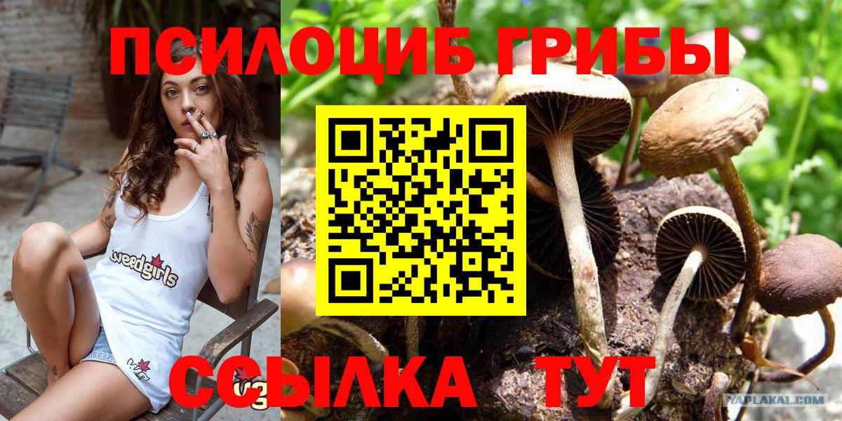 Галлюциногенные грибы прущие грибы Балахна