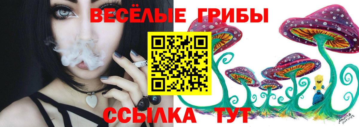 Балахна  Псилоцибиновые грибы Psilocybe  Псилоцибиновые грибы Magic Shrooms  Вход с VPN 